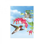 Magnet - Hummingbird