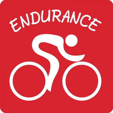 Bumper Sticker - Biking - Endurance                         